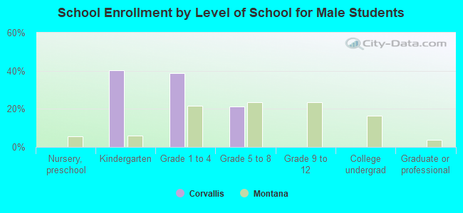 School Enrollment by Level of School for Male Students