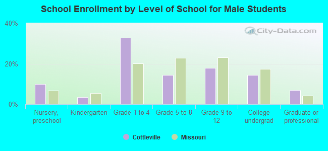 School Enrollment by Level of School for Male Students