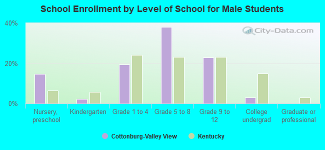 School Enrollment by Level of School for Male Students