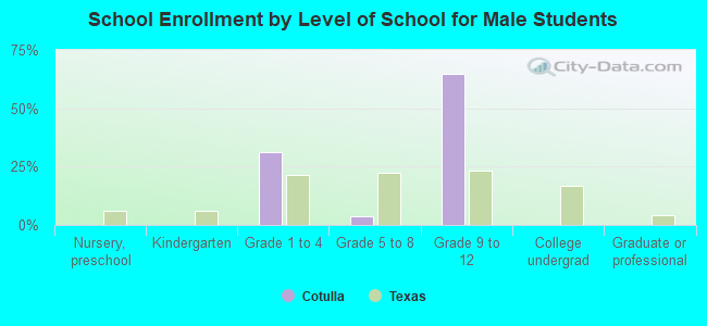 School Enrollment by Level of School for Male Students