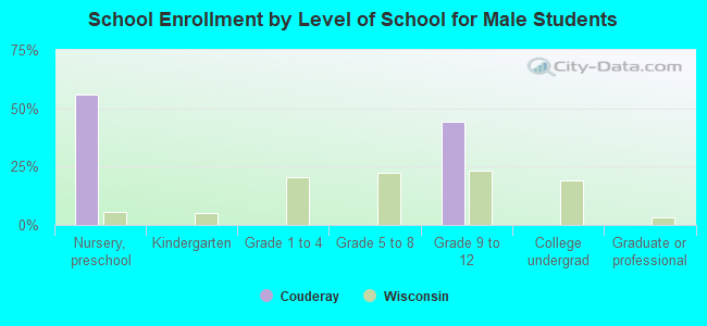 School Enrollment by Level of School for Male Students