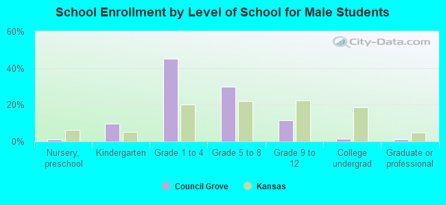 School Enrollment by Level of School for Male Students