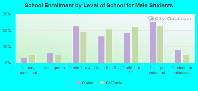 School Enrollment by Level of School for Male Students