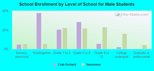 School Enrollment by Level of School for Male Students