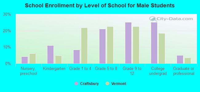 School Enrollment by Level of School for Male Students