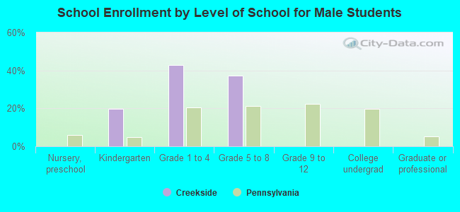 School Enrollment by Level of School for Male Students