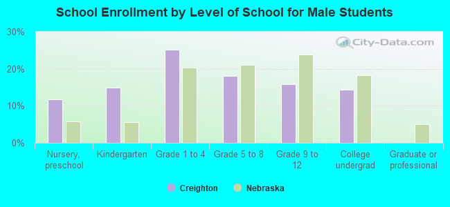 School Enrollment by Level of School for Male Students