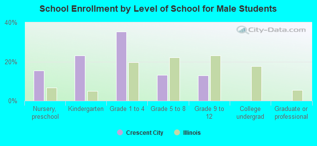 School Enrollment by Level of School for Male Students