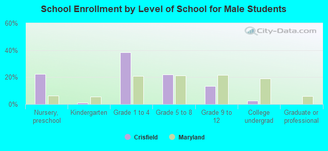 School Enrollment by Level of School for Male Students