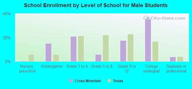 School Enrollment by Level of School for Male Students