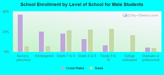 School Enrollment by Level of School for Male Students