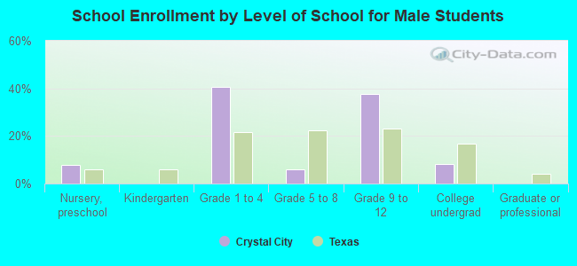 School Enrollment by Level of School for Male Students