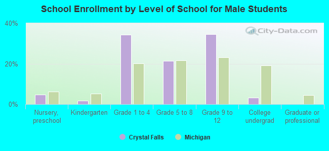 School Enrollment by Level of School for Male Students