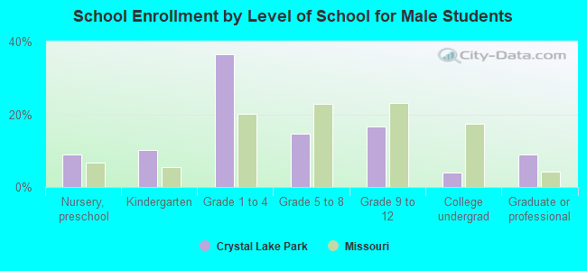 School Enrollment by Level of School for Male Students