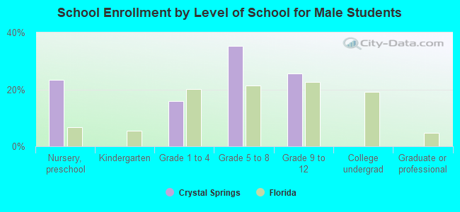 School Enrollment by Level of School for Male Students