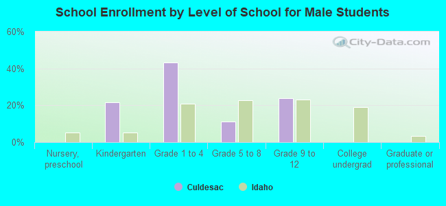 School Enrollment by Level of School for Male Students