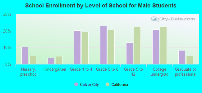 School Enrollment by Level of School for Male Students