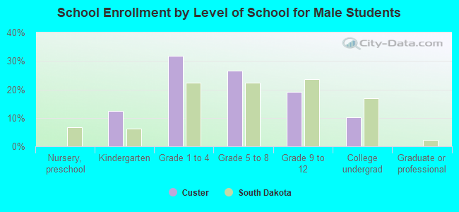 School Enrollment by Level of School for Male Students