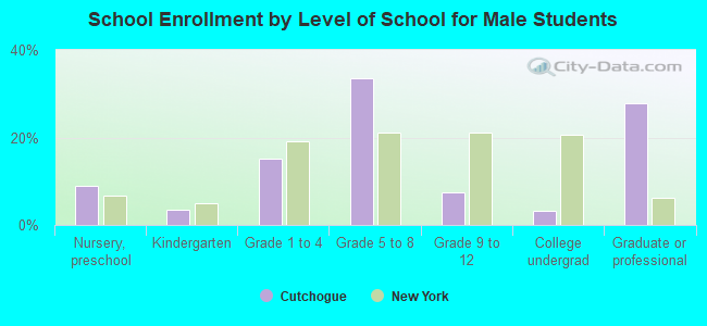 School Enrollment by Level of School for Male Students