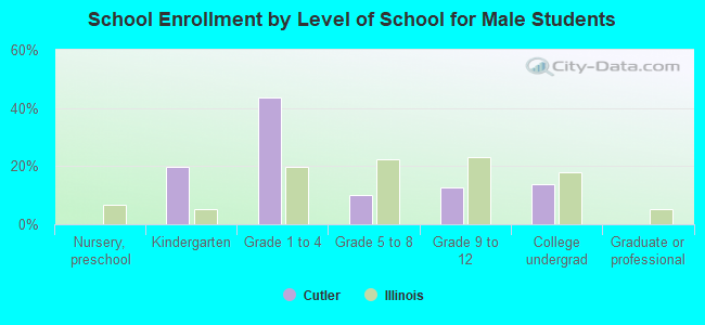 School Enrollment by Level of School for Male Students