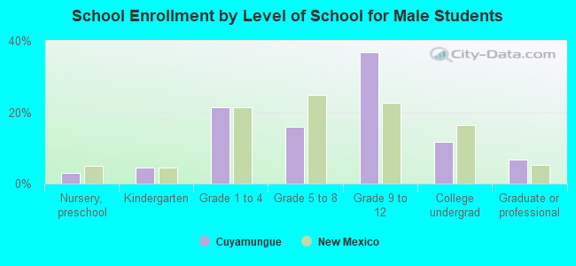 School Enrollment by Level of School for Male Students