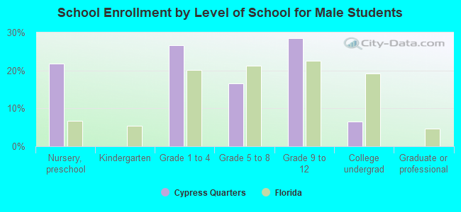 School Enrollment by Level of School for Male Students