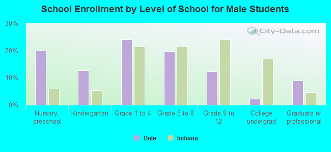 School Enrollment by Level of School for Male Students