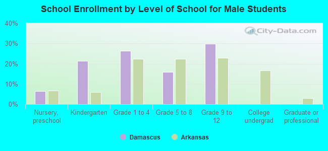 School Enrollment by Level of School for Male Students