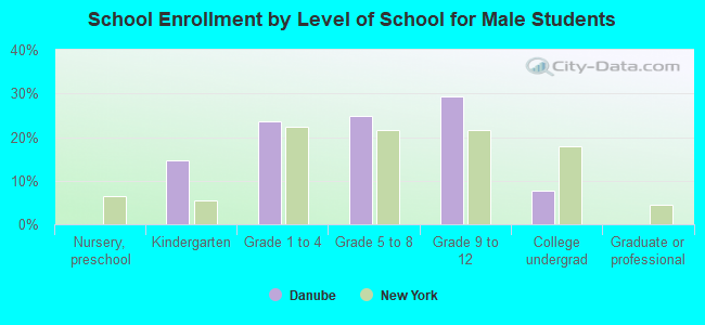 School Enrollment by Level of School for Male Students