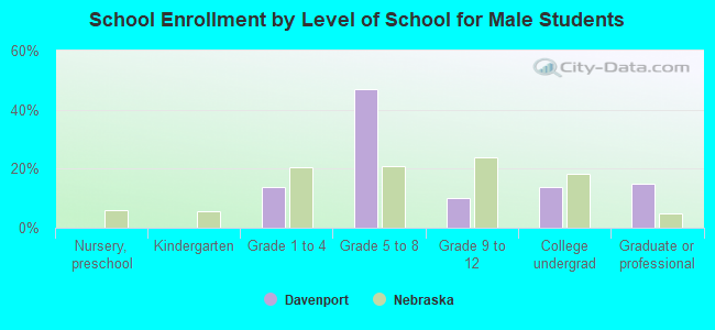 School Enrollment by Level of School for Male Students