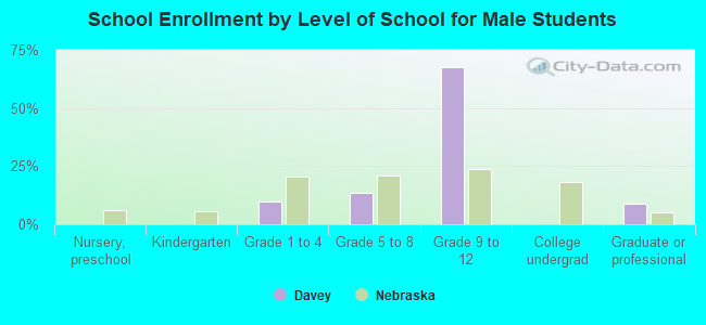 School Enrollment by Level of School for Male Students