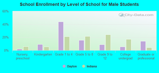 School Enrollment by Level of School for Male Students