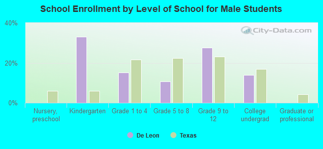 School Enrollment by Level of School for Male Students