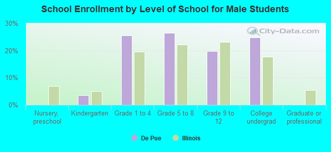 School Enrollment by Level of School for Male Students