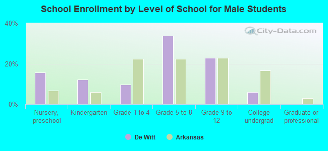 School Enrollment by Level of School for Male Students