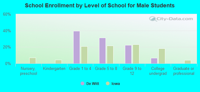 School Enrollment by Level of School for Male Students