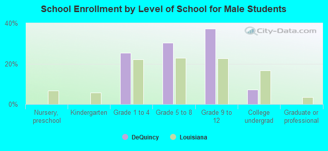 School Enrollment by Level of School for Male Students