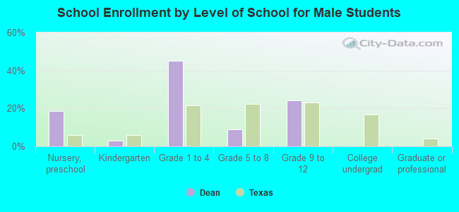 School Enrollment by Level of School for Male Students