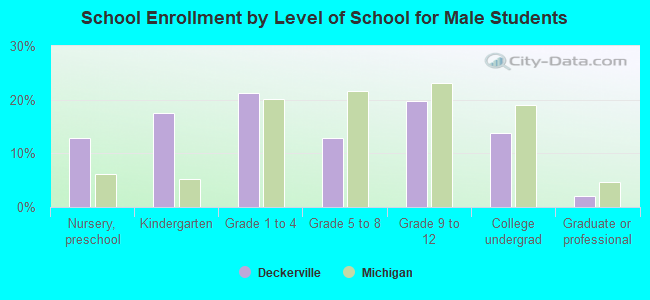 School Enrollment by Level of School for Male Students