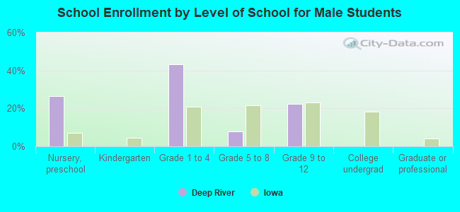 School Enrollment by Level of School for Male Students