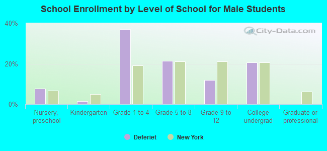 School Enrollment by Level of School for Male Students