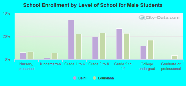 School Enrollment by Level of School for Male Students