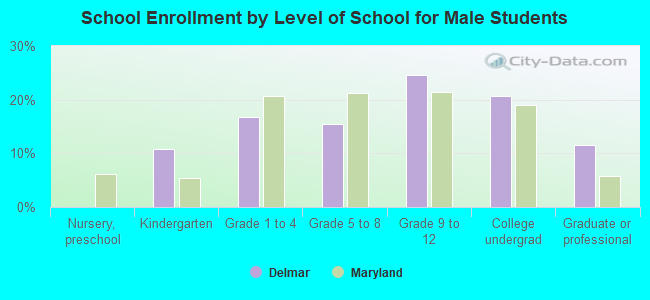 School Enrollment by Level of School for Male Students