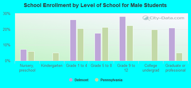 School Enrollment by Level of School for Male Students