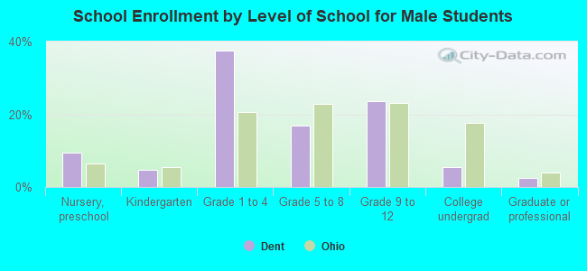 School Enrollment by Level of School for Male Students