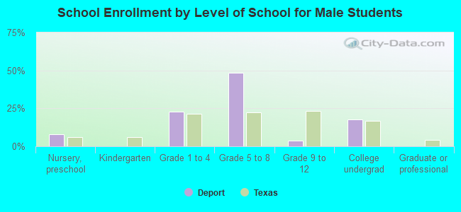 School Enrollment by Level of School for Male Students