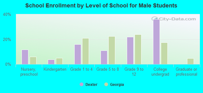 School Enrollment by Level of School for Male Students