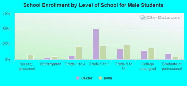 School Enrollment by Level of School for Male Students