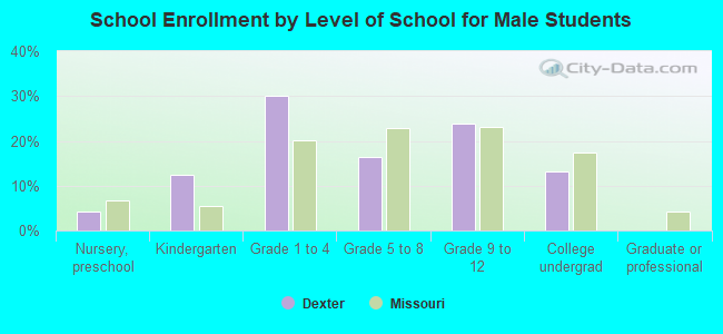 School Enrollment by Level of School for Male Students