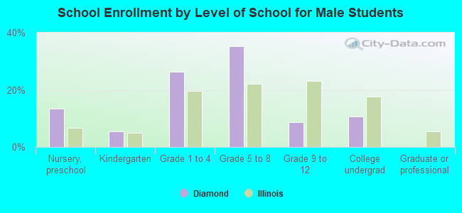 School Enrollment by Level of School for Male Students